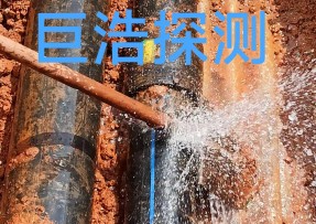 上海奉贤区消防管道漏水检测